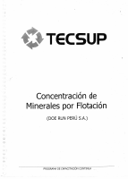 Tecsup-Concentracion-de-Minerales-Por-Flotacion.pdf